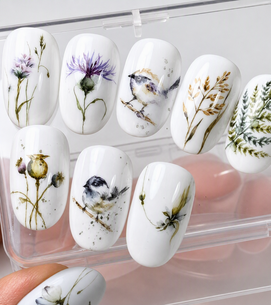 White Nights Atlas Botanical Watercolor Set – 12 Colors